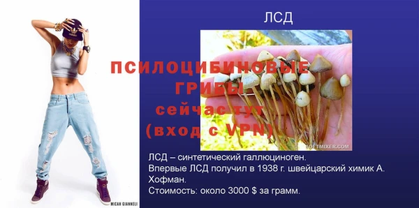 дурь Карпинск