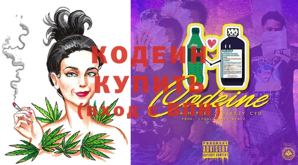 дурь Карпинск