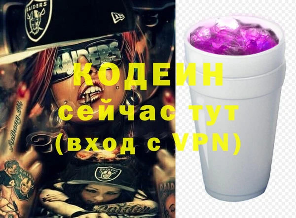 дурь Карпинск