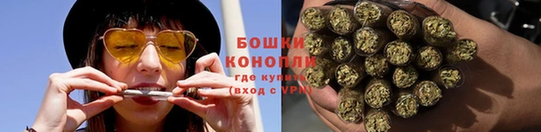 дурь Карпинск