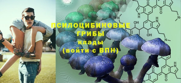 дурь Карпинск