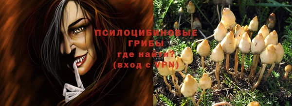 Альфа ПВП Касимов